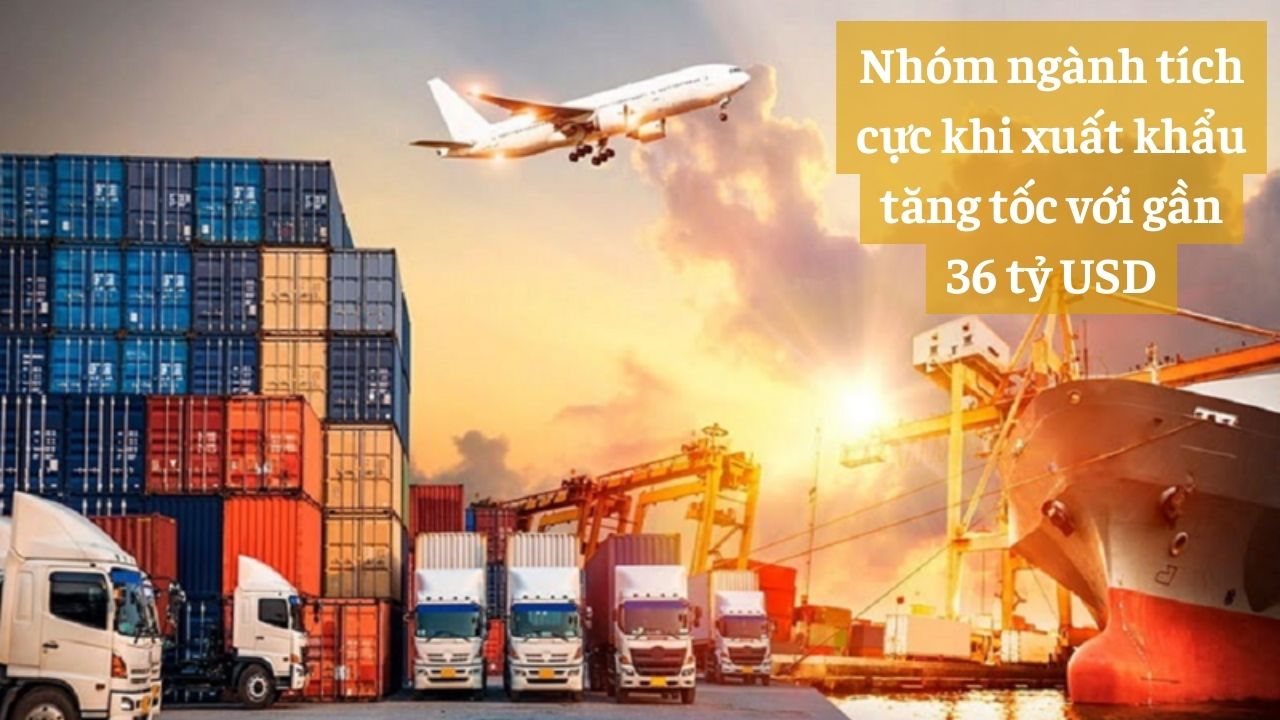 Tình Hình Xuất Nhập Khẩu Tháng 7/2024 và Khuyến Nghị Cổ Phiếu Tiềm Năng