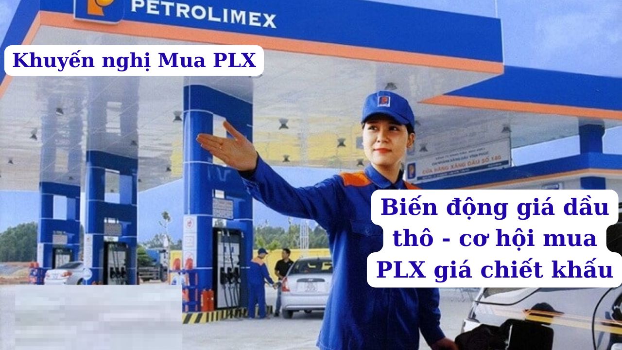 Petrolimex (PLX) – Cơ Hội Đầu Tư Dài Hạn Từ "Ông Lớn" Ngành Xăng Dầu Việt Nam